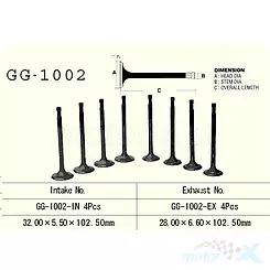 Vesrah GG-1002-IN imuventtiili