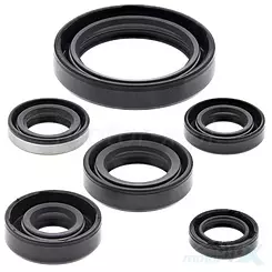 Moottorin tiivistesarja Winderosa Kawasaki KLX250R 94-96, KLX250S 06-18, KLX250SF 09-10, KLX300(R) 97-07