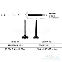 Vesrah GG-1023-EX pakoventtiili