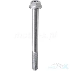 Pultti M6x60mm QJMotor 160306030120